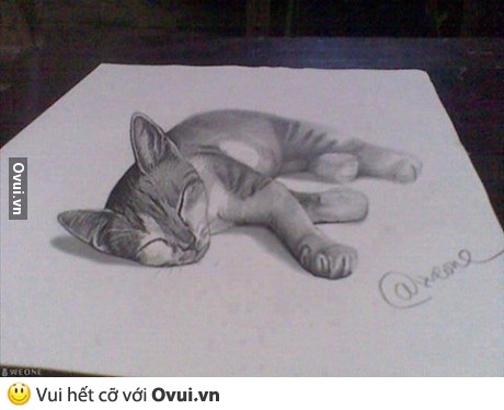 Vẽ mèo 3D vui nhộn: Đam mê vẽ tranh? Hãy thử tay với bức tranh vẽ mèo 3D. Sản phẩm sẽ đưa bạn đến thế giới mèo độc đáo và vô cùng thú vị. Cùng trổ tài và tạo ra những tác phẩm nghệ thuật độc đáo.