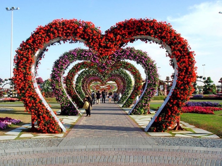 Những cụm hoa được tạo thành hình trái tim trải dọc lối đi là một trong những nơi được nhiều du khách yêu thích.