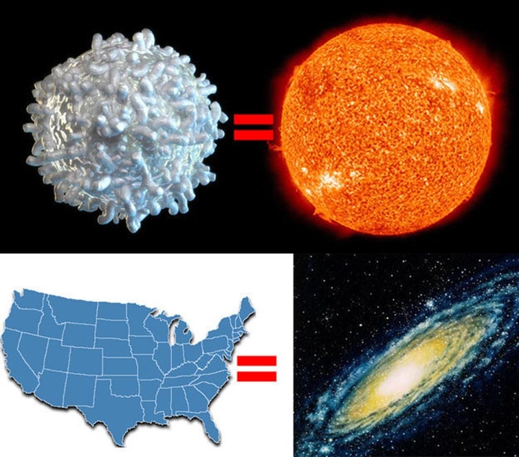 earth size compare