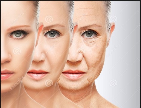 7. Làm chậm quá trình lão hóa và cải thiện tuổi thọ