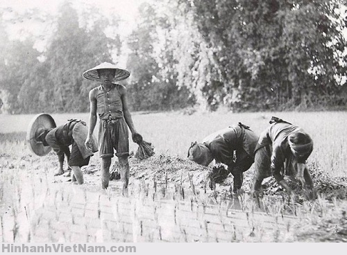 Hình ảnh xưa nhất Việt Nam: thập niên 1890