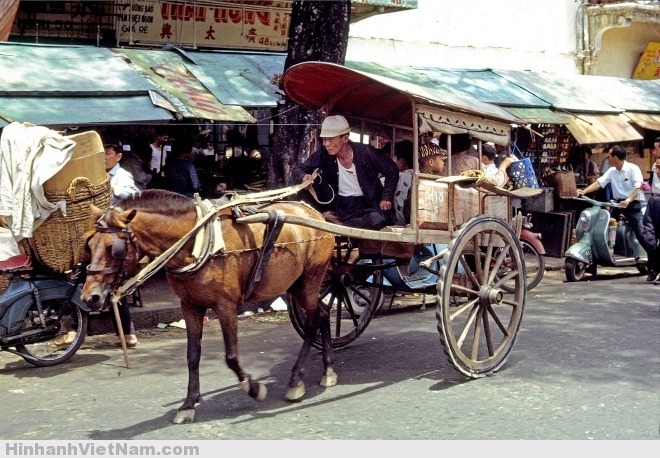 Ảnh xe ngựa đi ngang chợ Cũ đường Hàm Nghi khoảng năm 1965-1966, được chụp bởi Thomas W. Johnson. Hình ảnh chiếc xe ngựa với những tiếng kêu lách cách và cặp bánh gỗ to đã trở nên quen thuộc với người dân miền Nam xưa.