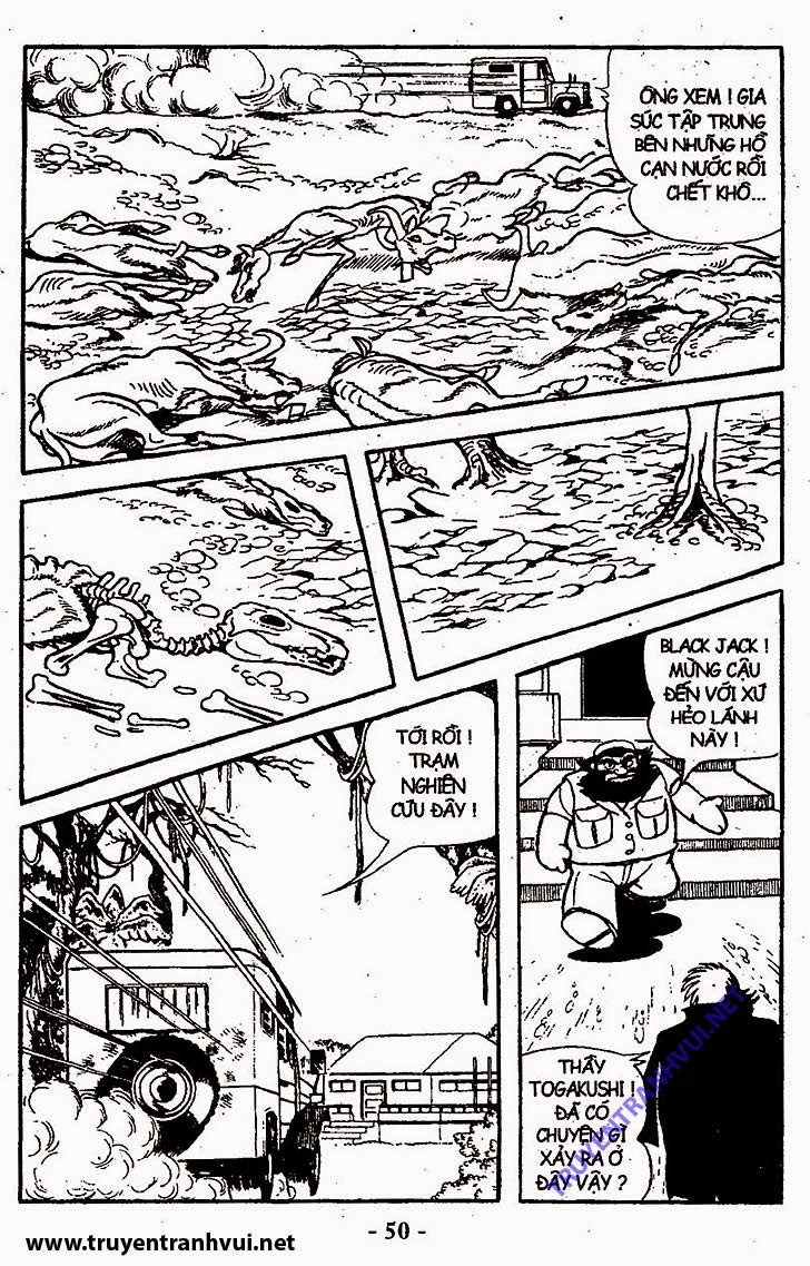 Black Jack (Bác Sĩ Quái Dị) chap 142: Quy luật tự nhiên  